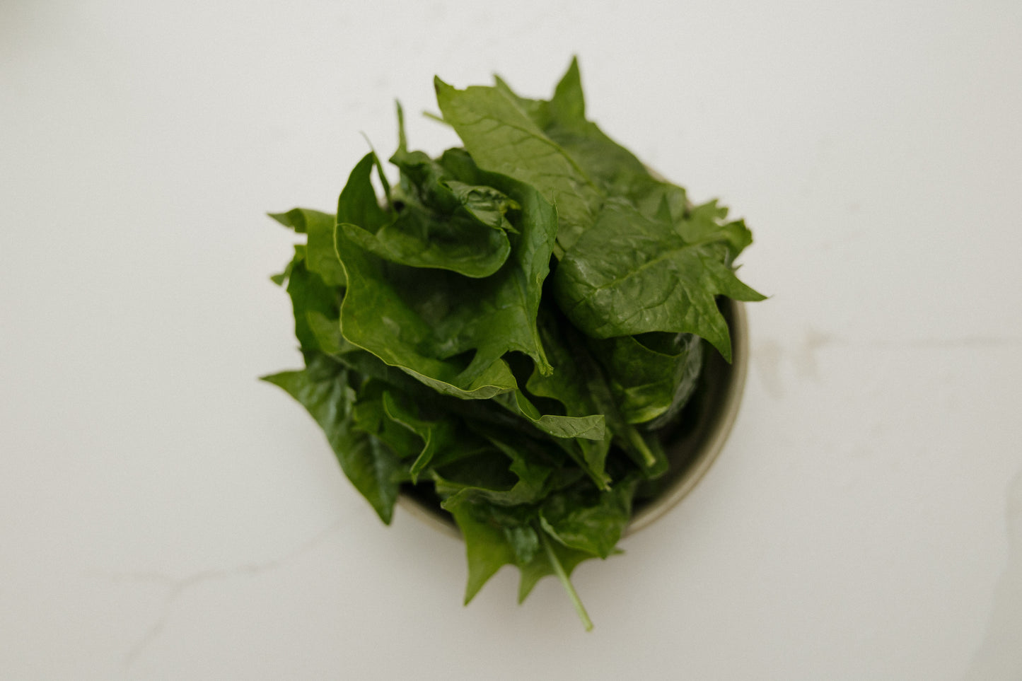 Spinach