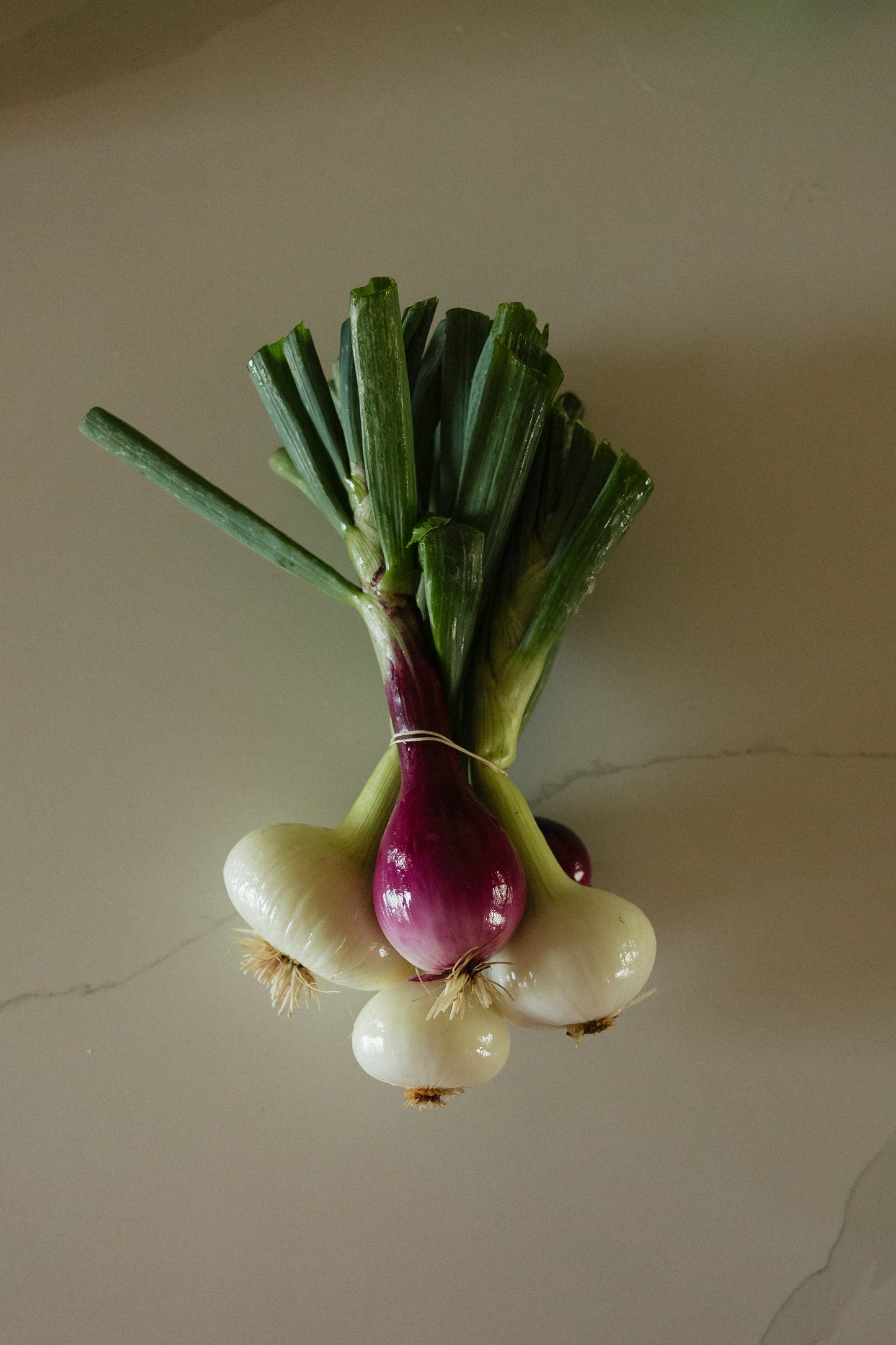 Onion