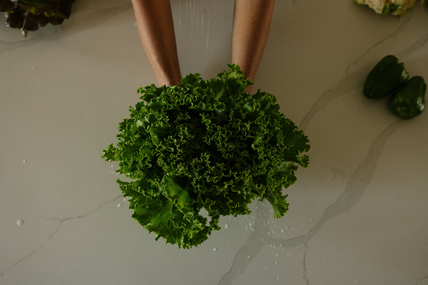 Lettuce green curly