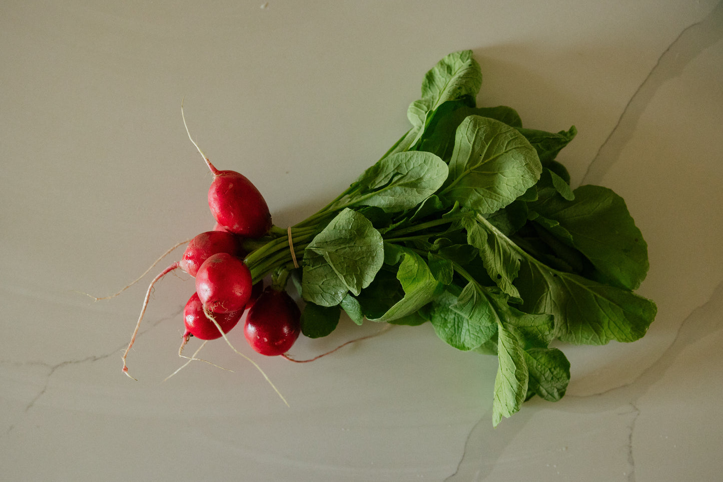 Radish