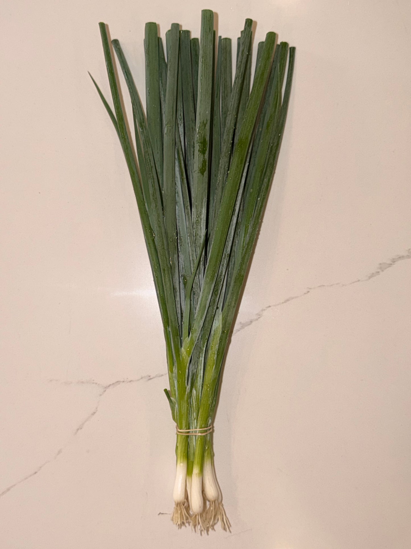 Green onion