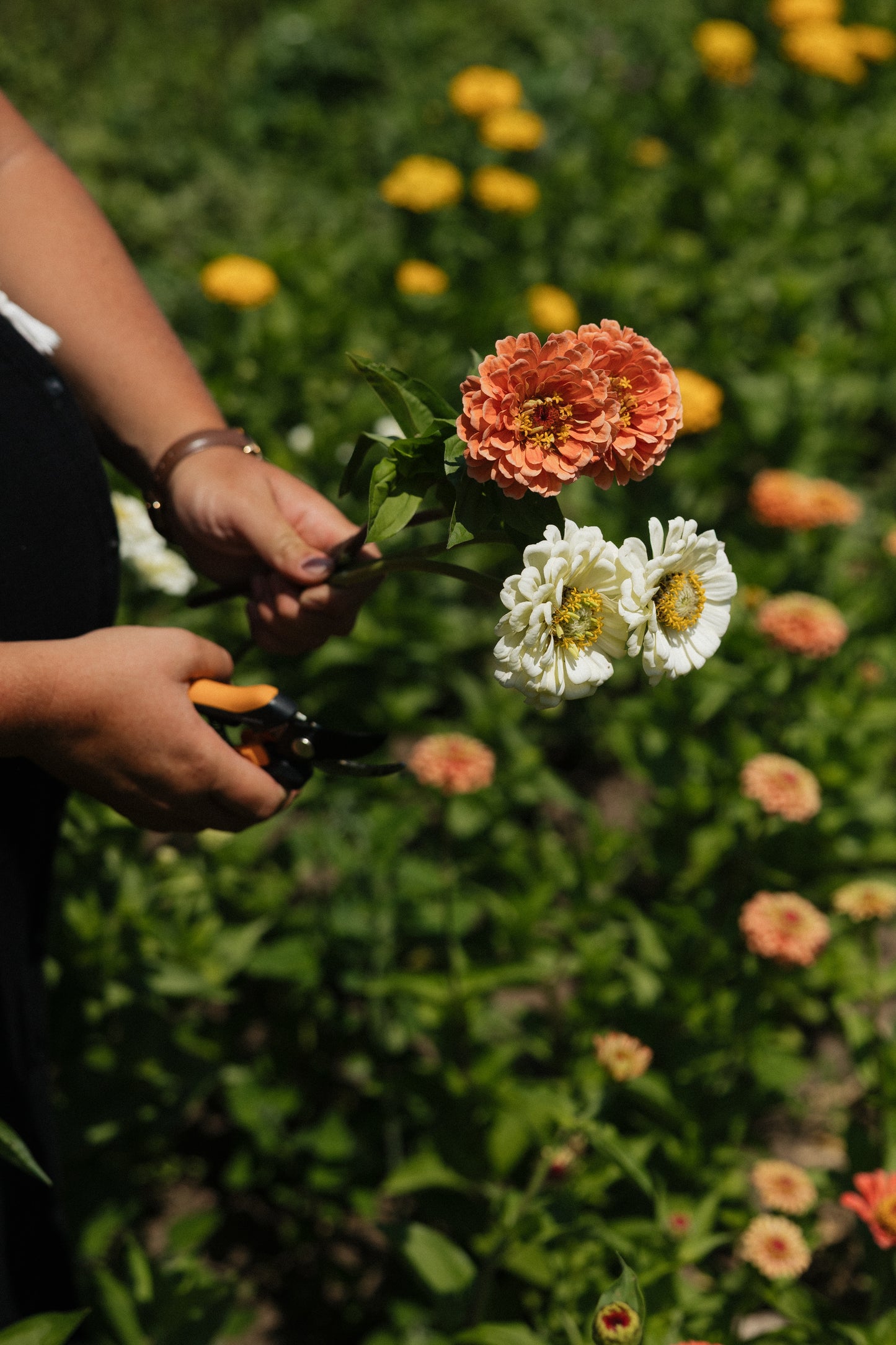 Seasonal Flower Bouquet