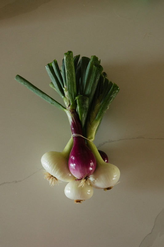 Onion