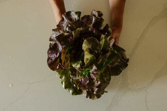 Lettuce Red Butter