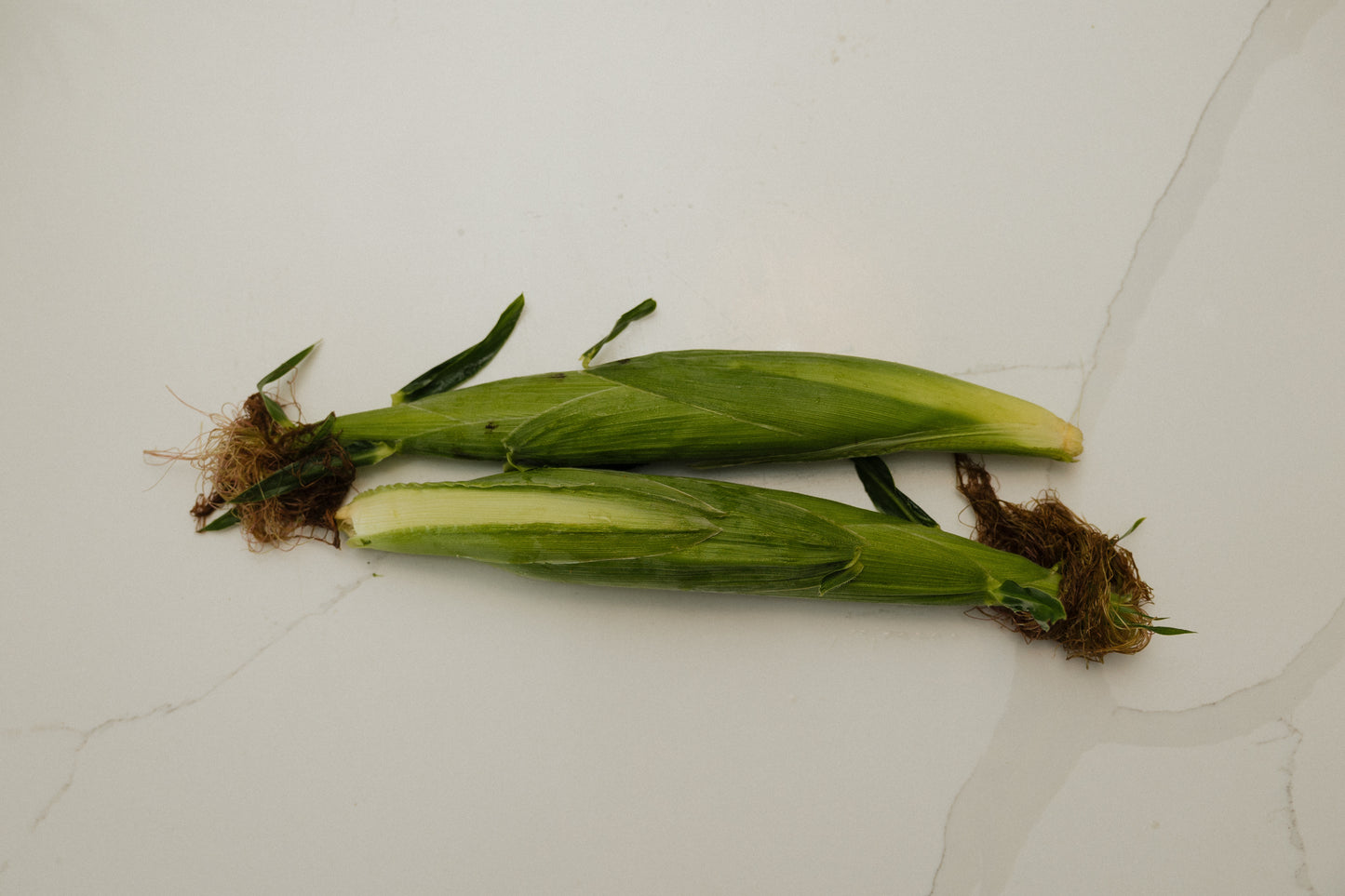 Sweet corn