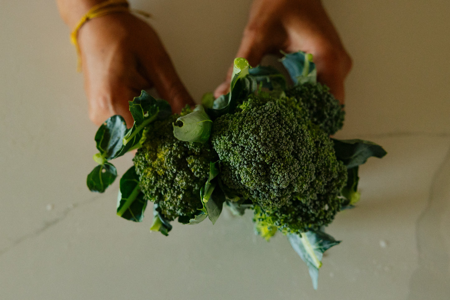 Broccoli